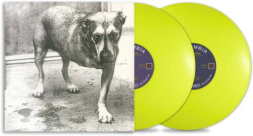"Vinyl Record Title - Transatlantic Vinyl RecordsAlice in Chains - Self Titled - USA Exclusive Import Vinyl Record - Yellow Vinyl
